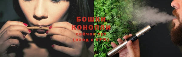 бутират Переславль-Залесский