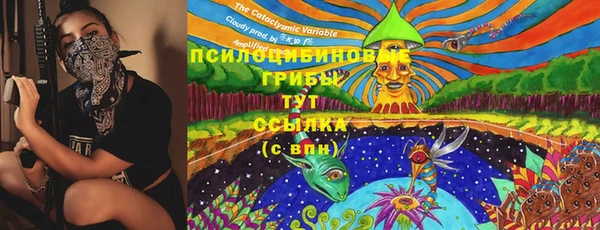 mdpv Алзамай