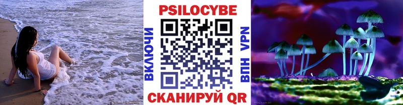 блэк спрут ссылка  где купить наркоту  Сенгилей  Псилоцибиновые грибы Psilocybe 
