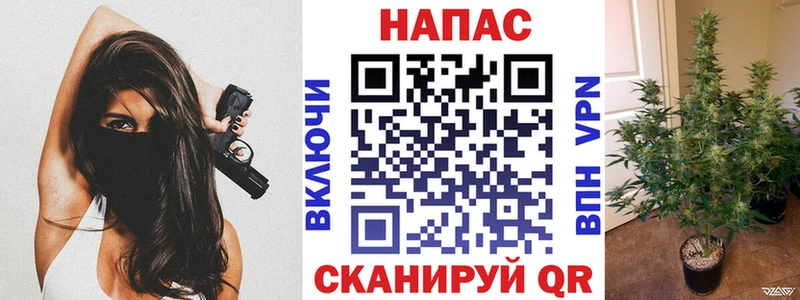 Шишки марихуана OG Kush  мориарти телеграм  Сенгилей 